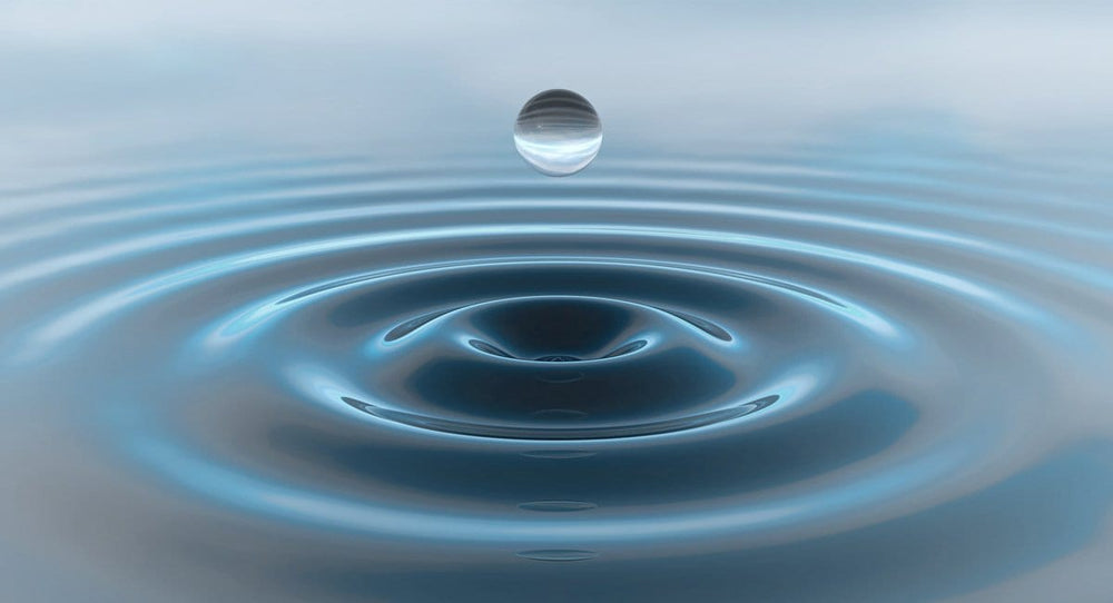An Exercise in Silence - Buddha Groove