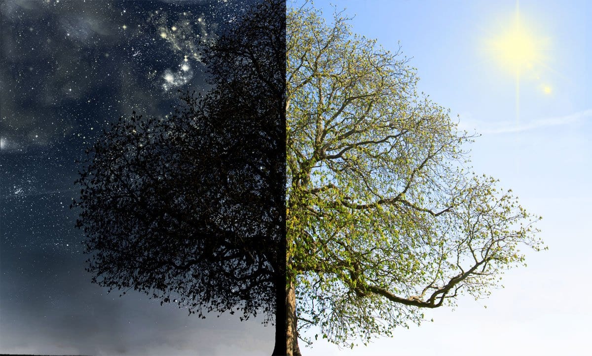 What Does It Mean To Be Ready To Change? - Buddha Groove