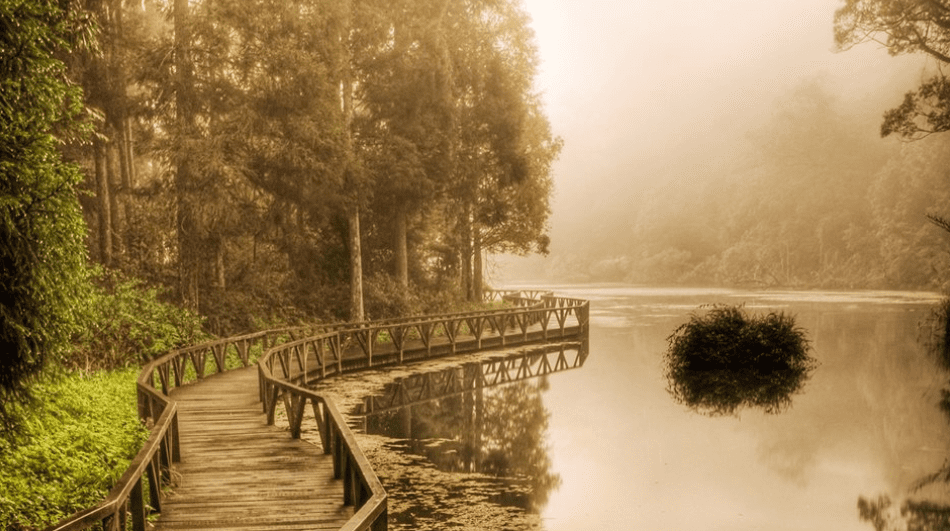 Cultivating Mindfulness in Everyday Life - Buddha Groove