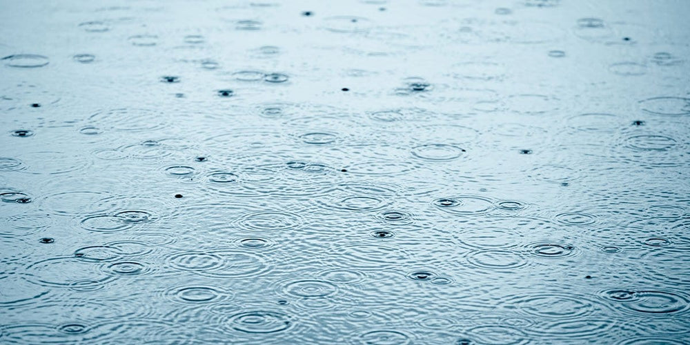 Zen Story: Carry On - Buddha Groove