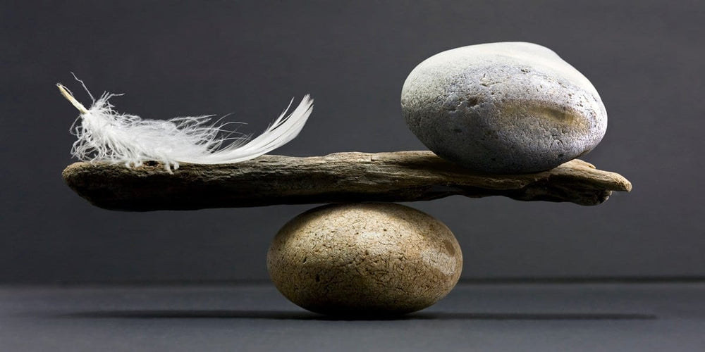 Zen Story: The Stone Mind - Buddha Groove