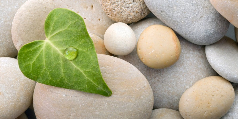 Zen Story: Perfection - Buddha Groove