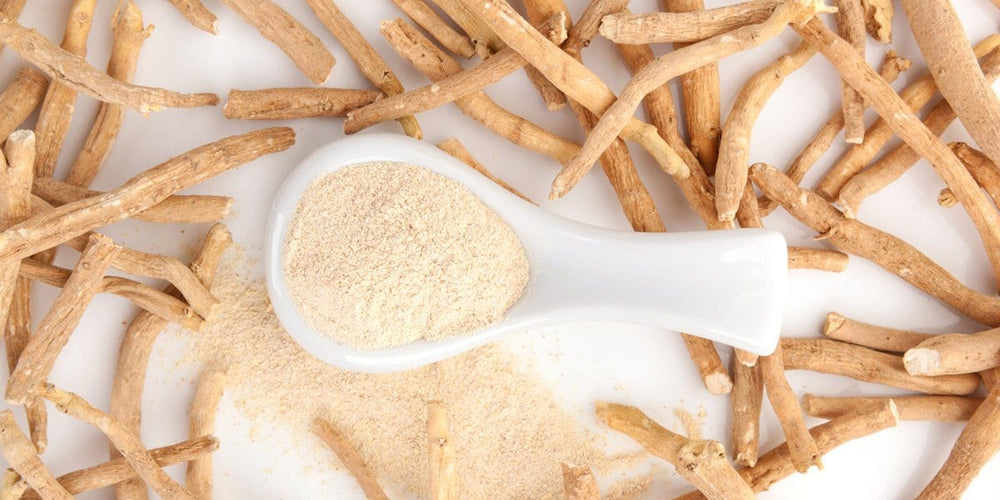 Everything You Wanted to Know About Ashwagandha - Buddha Groove