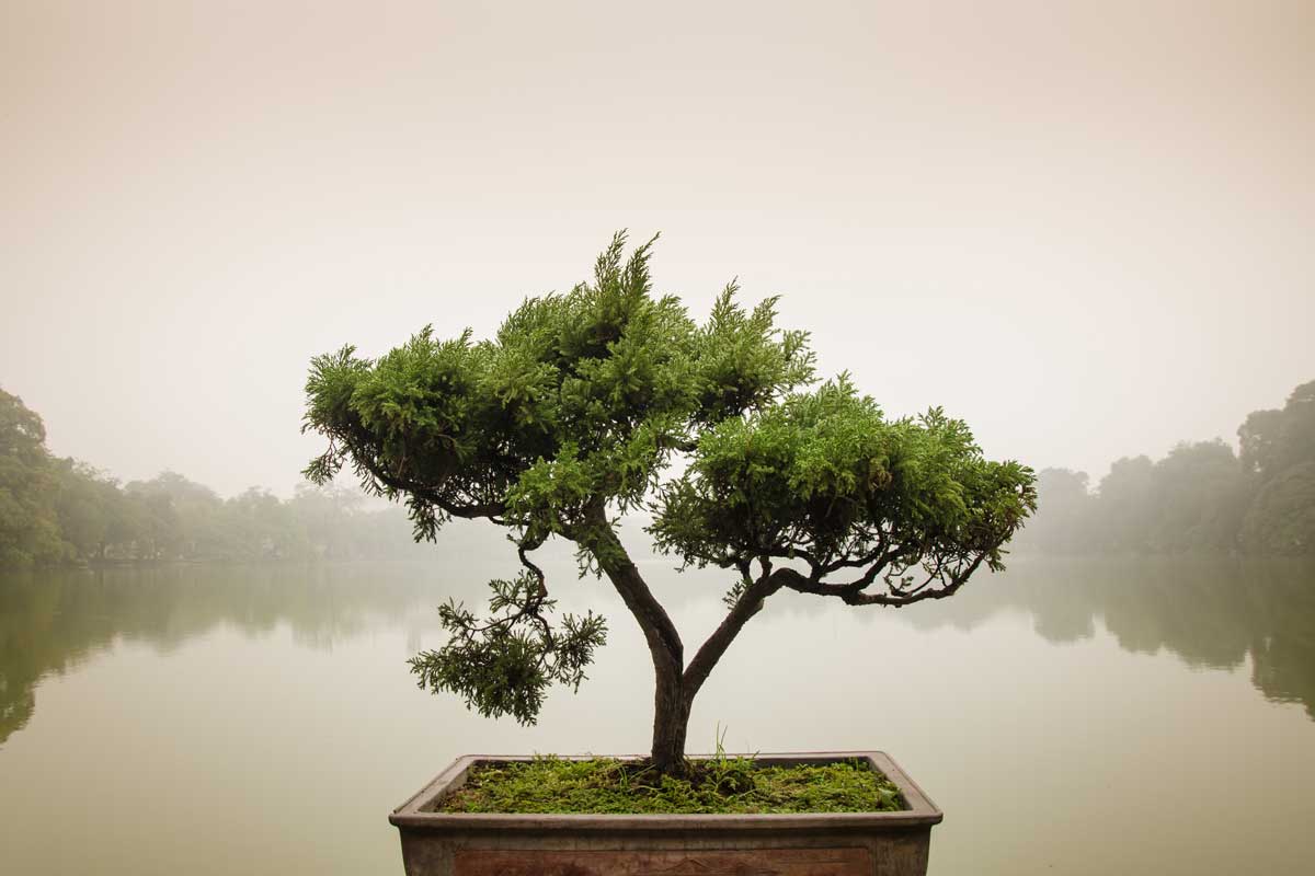 Six Steps to Transforming Self-Quarantine into a Spiritual Retreat - Buddha Groove
