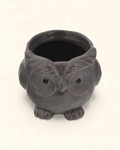 Whimsical Ceramic Animal Planters – Snail, Duck, Elephant, Dog, Sheep, or Owl (Assorted Sizes)