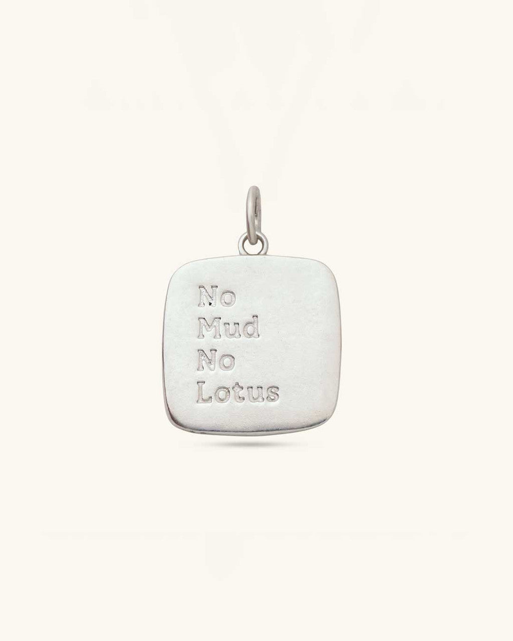 No mud No Lotus