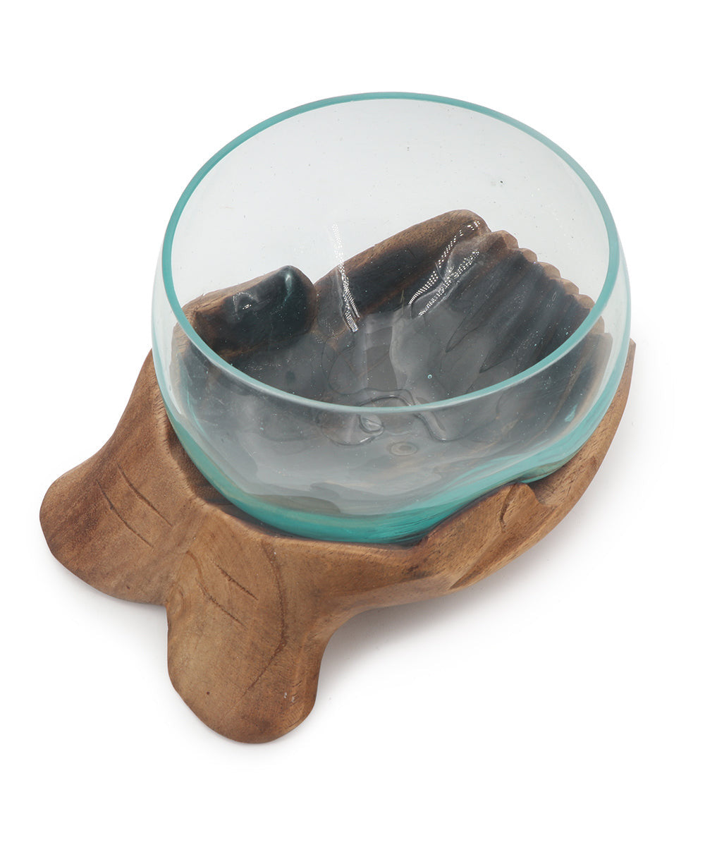 Offering Hands Molded Glass Bowl Terrarium