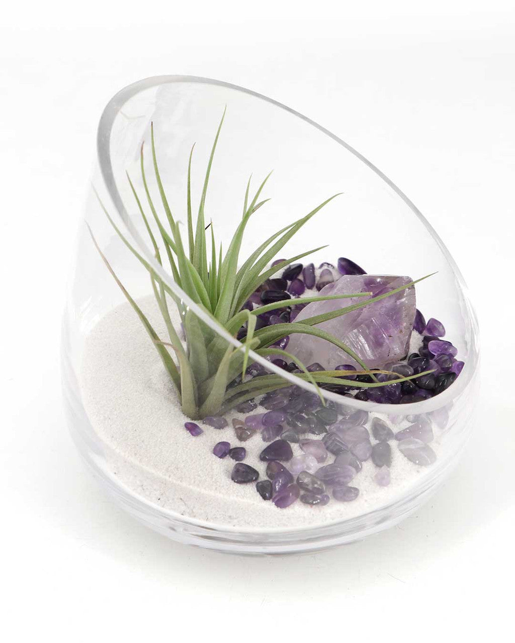 Amethyst Gemstone Healing Crystal Terrarium - Terrarium