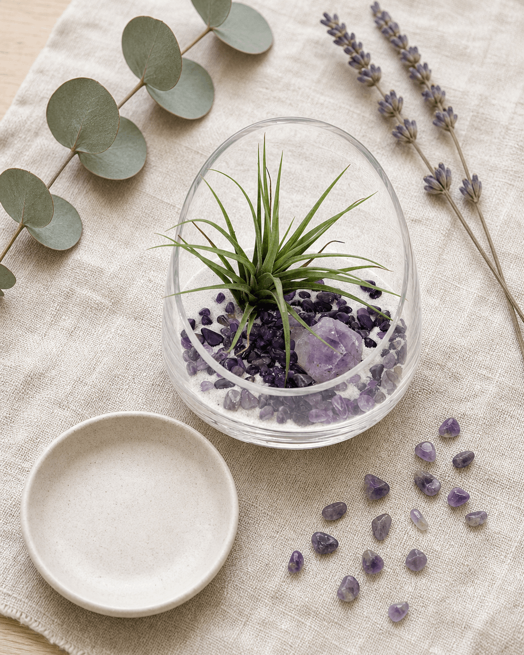 Amethyst Gemstone Healing Crystal Terrarium - Terrarium