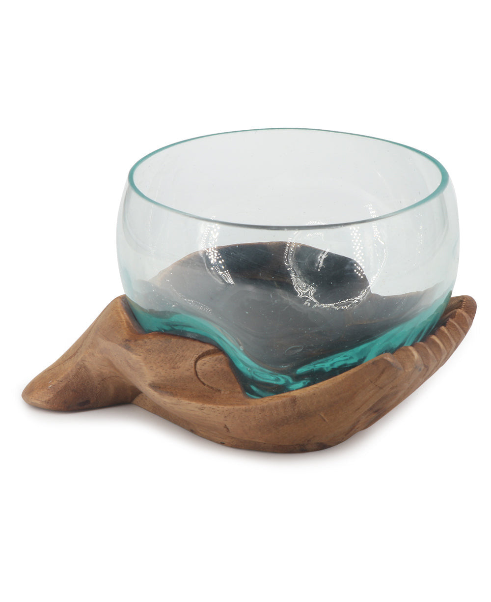 Offering Hands Molded Glass Bowl Terrarium