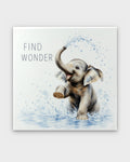 Find Wonder watercolor canvas wall art showing a baby elephant splashing water with trunk raised, front view