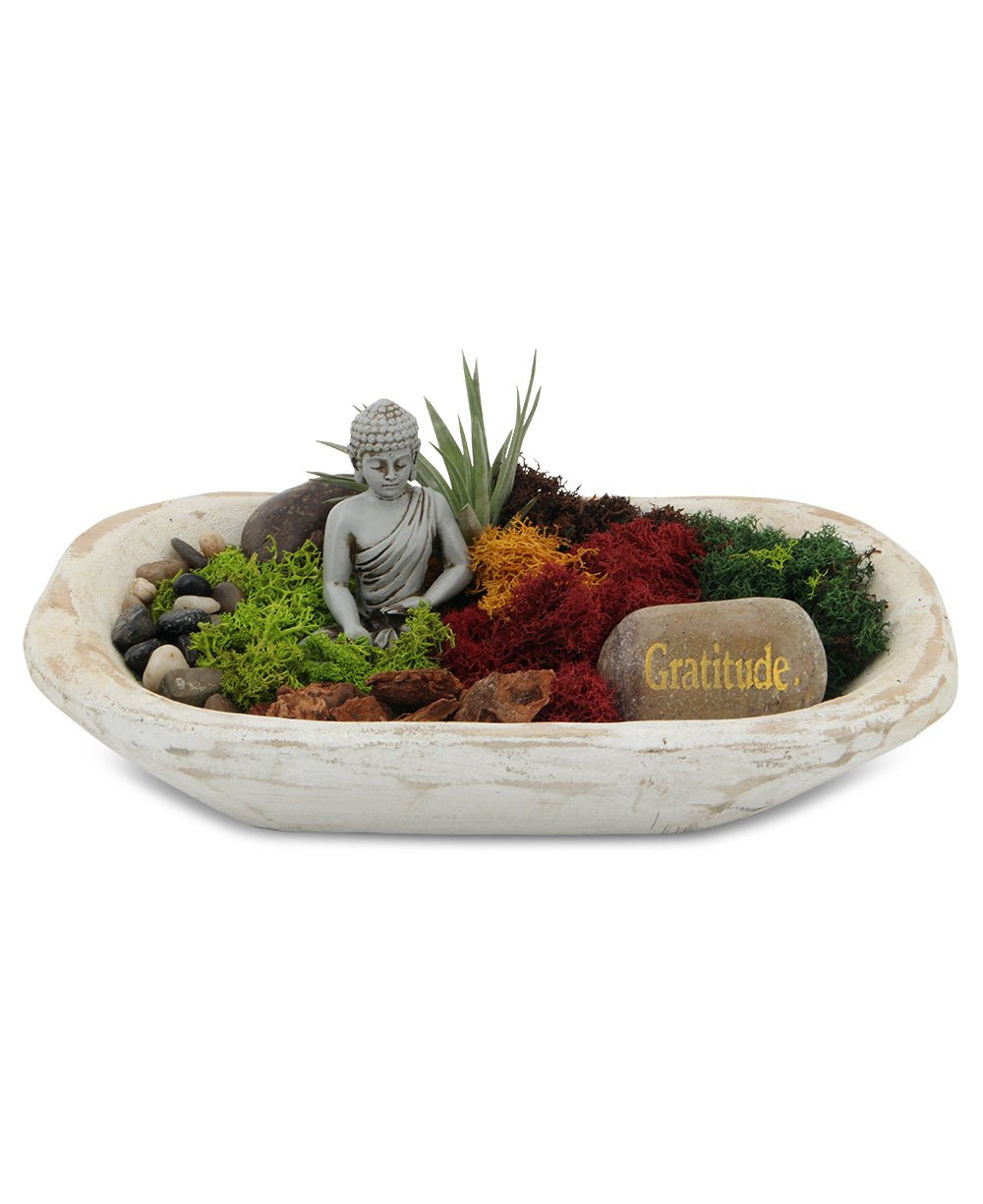 Five Color Moss Gratitude Buddha Terrarium - Terrarium