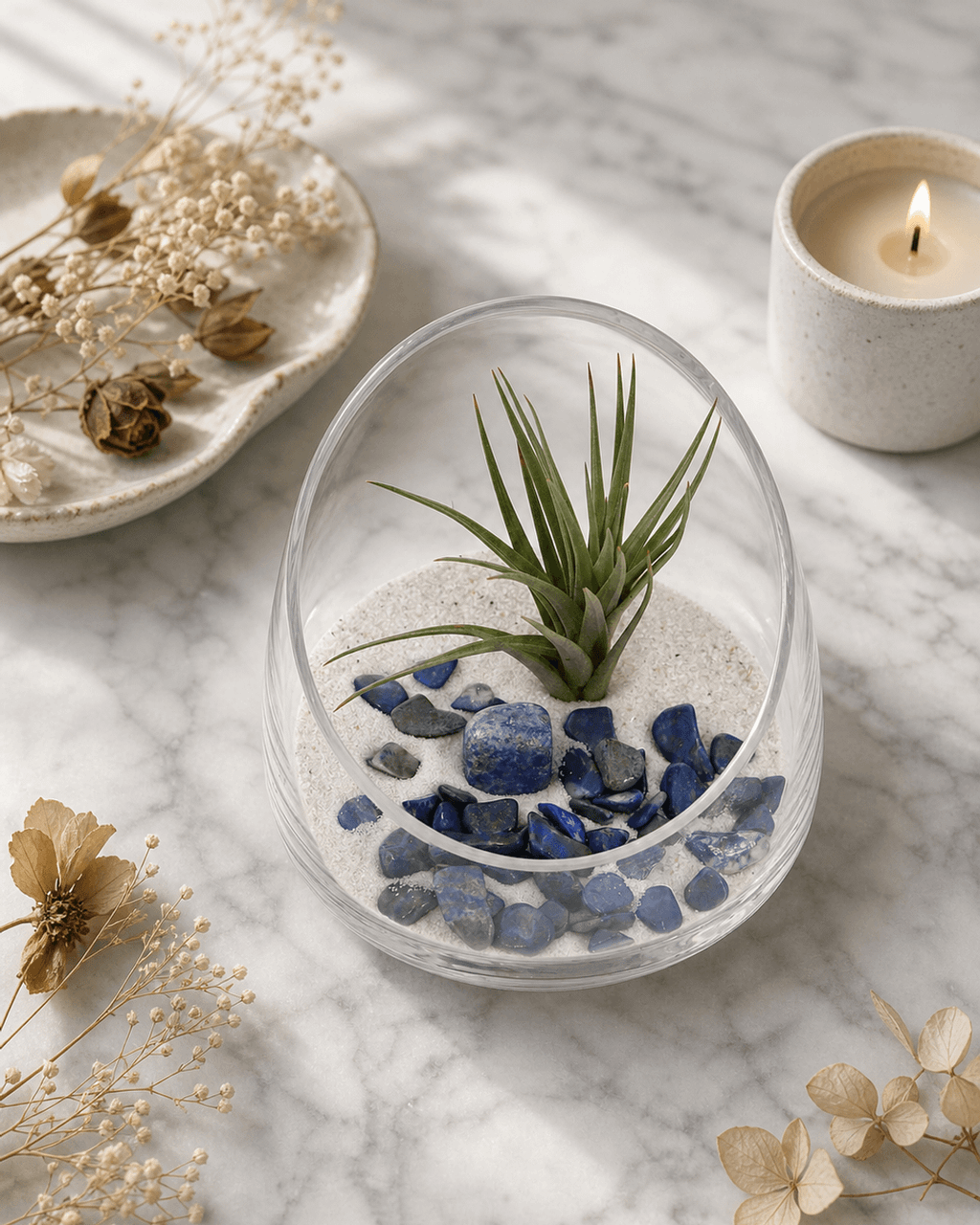 Lapis Gemstone Terrarium - Terrarium