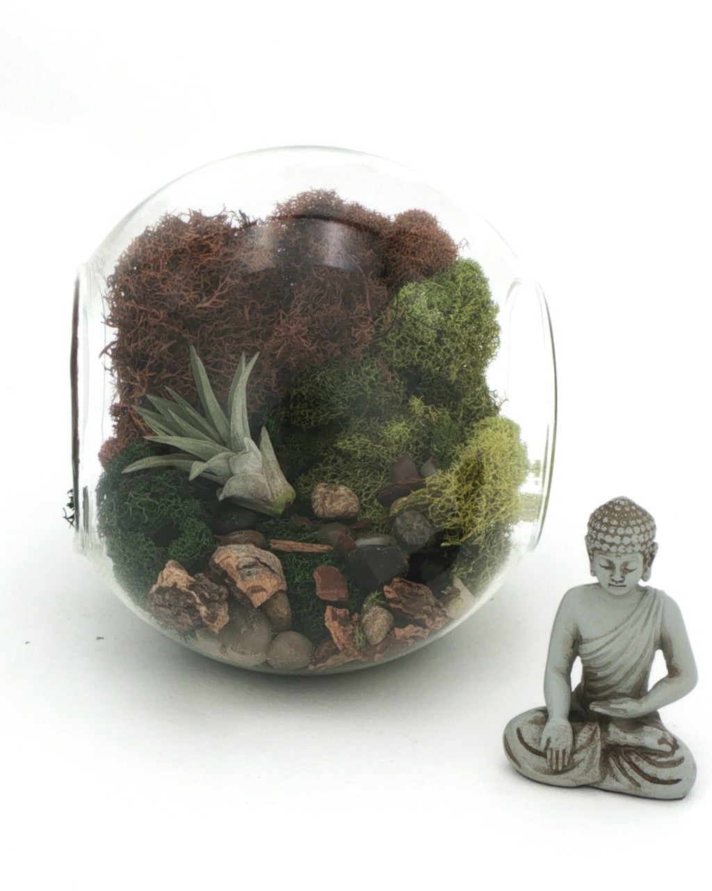 Large Open-End Glass Terrarium with Meditating Buddha & Live Air Plant - Ecospheres