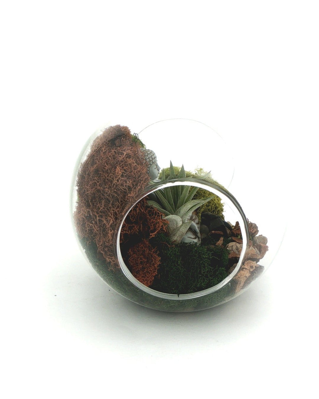 Large Open-End Glass Terrarium with Meditating Buddha & Live Air Plant - Ecospheres