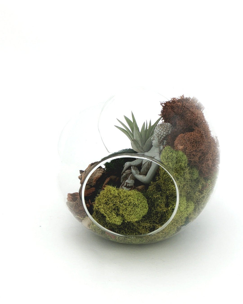 Large Open-End Glass Terrarium with Meditating Buddha & Live Air Plant - Ecospheres