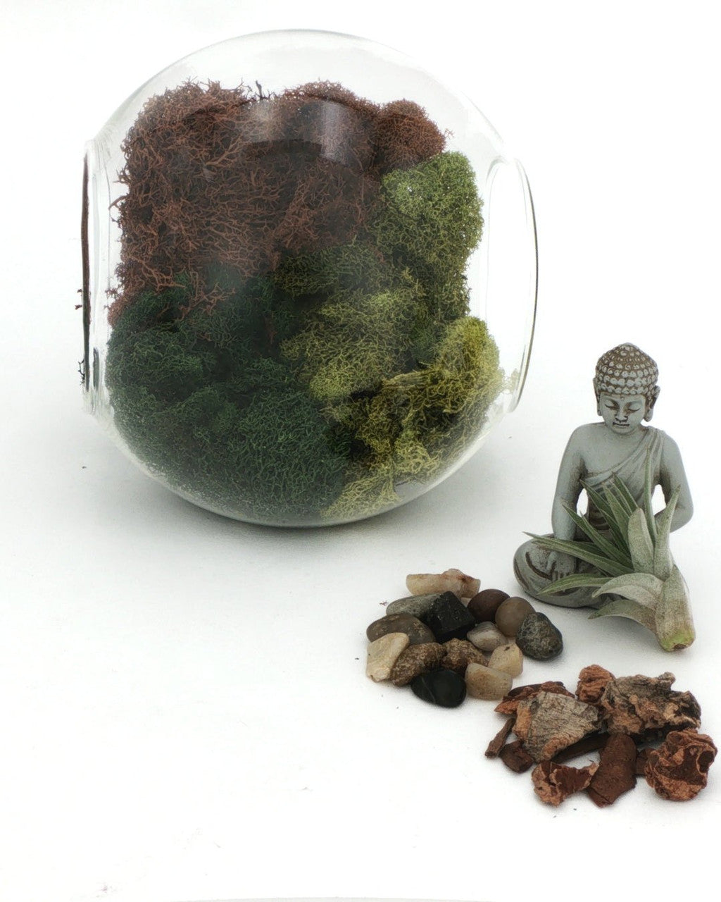 Large Open-End Glass Terrarium with Meditating Buddha & Live Air Plant - Ecospheres