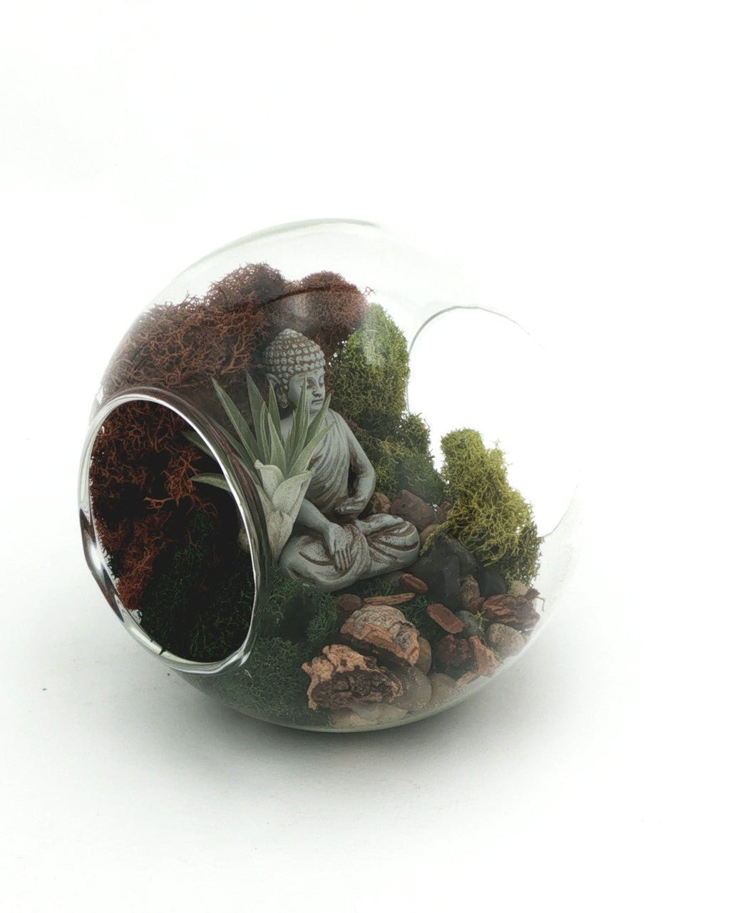 Large Open-End Glass Terrarium with Meditating Buddha & Live Air Plant - Ecospheres