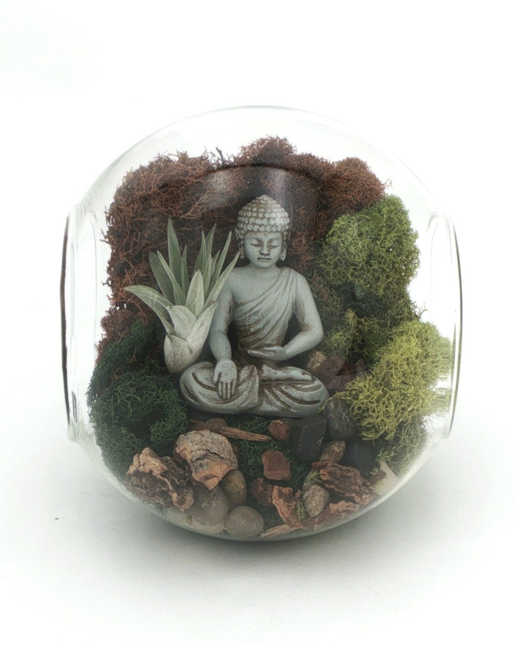 Large Open-End Glass Terrarium with Meditating Buddha & Live Air Plant - Ecospheres