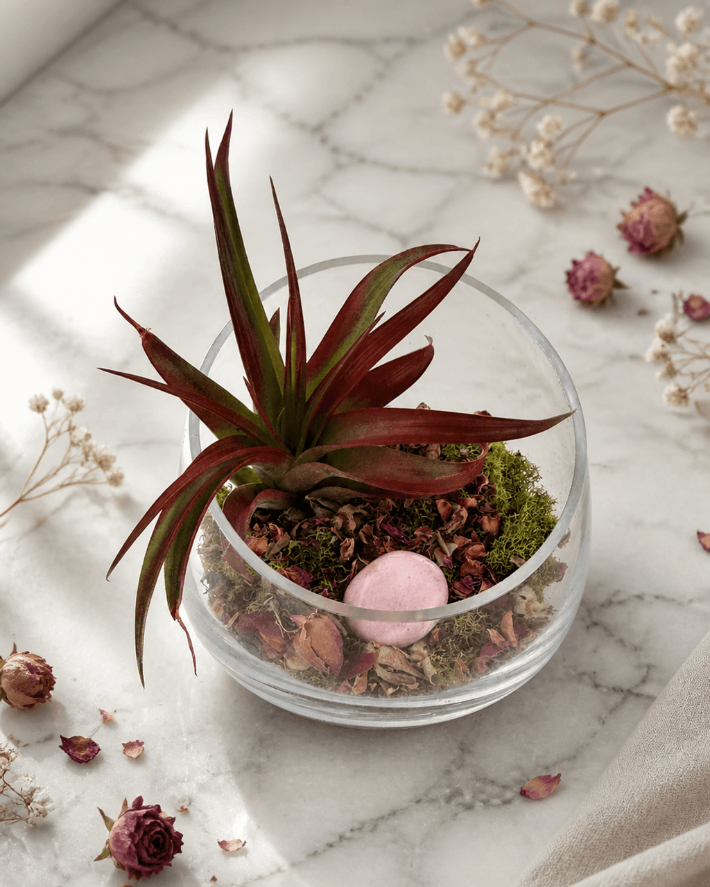 Love and Compassion Terrarium with Air Plant - Ecospheres