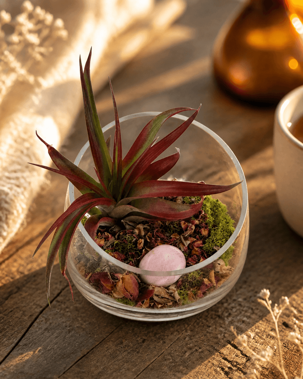 Love and Compassion Terrarium with Air Plant - Ecospheres