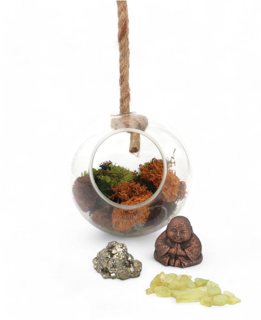Luck Buddha Pyrite Crystal Hanging Globe Terrarium - Terrarium