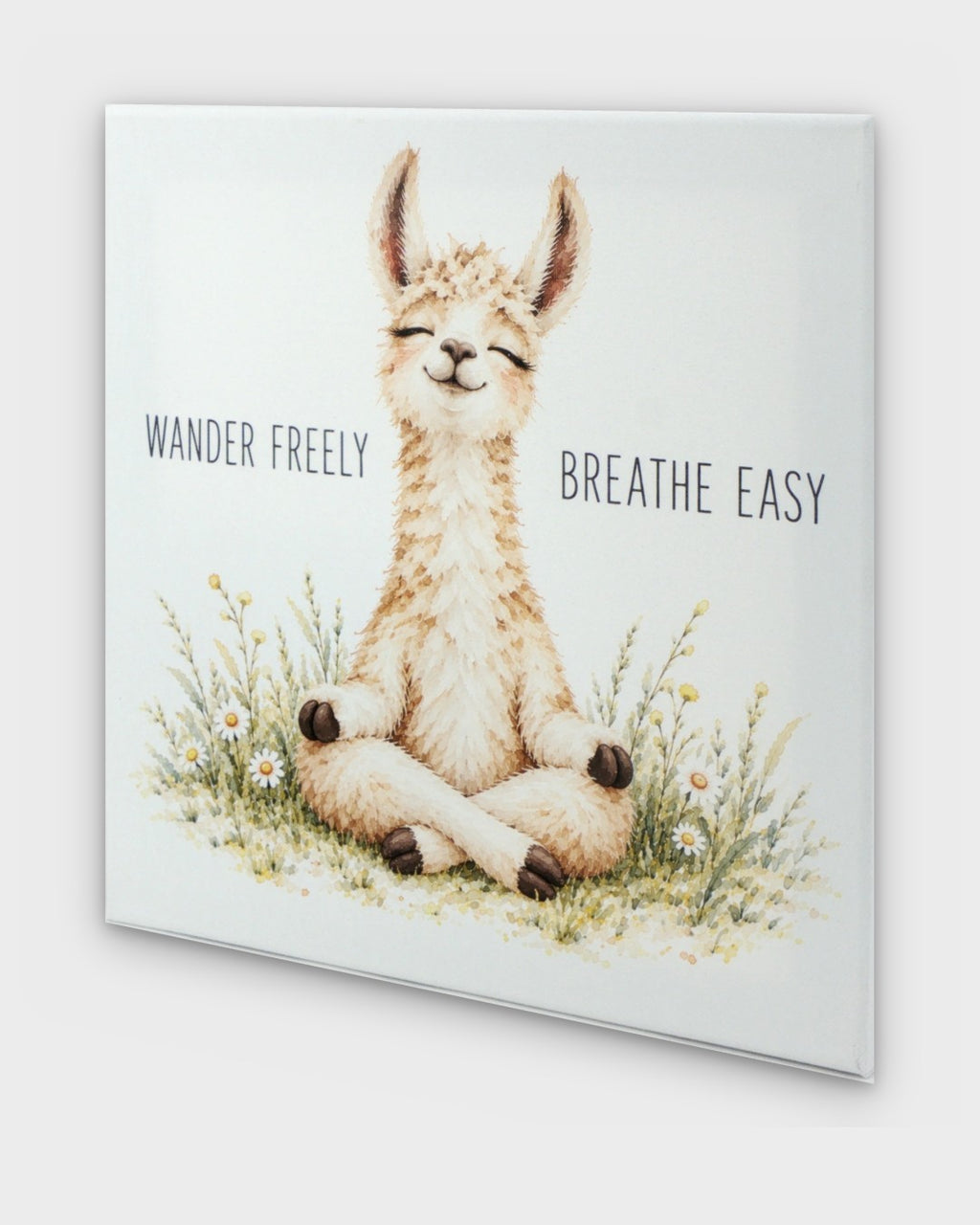 Meditating llama canvas wall art at a side angle showing canvas depth and wrapped edges with daisy meadow illustration