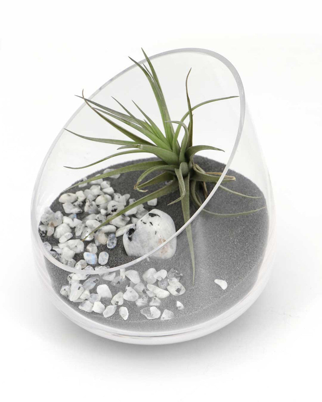 Rainbow Moonstone Gemstone Terrarium – Air Plant Arrangement in Glass Bowl with Black Sand - Terrarium