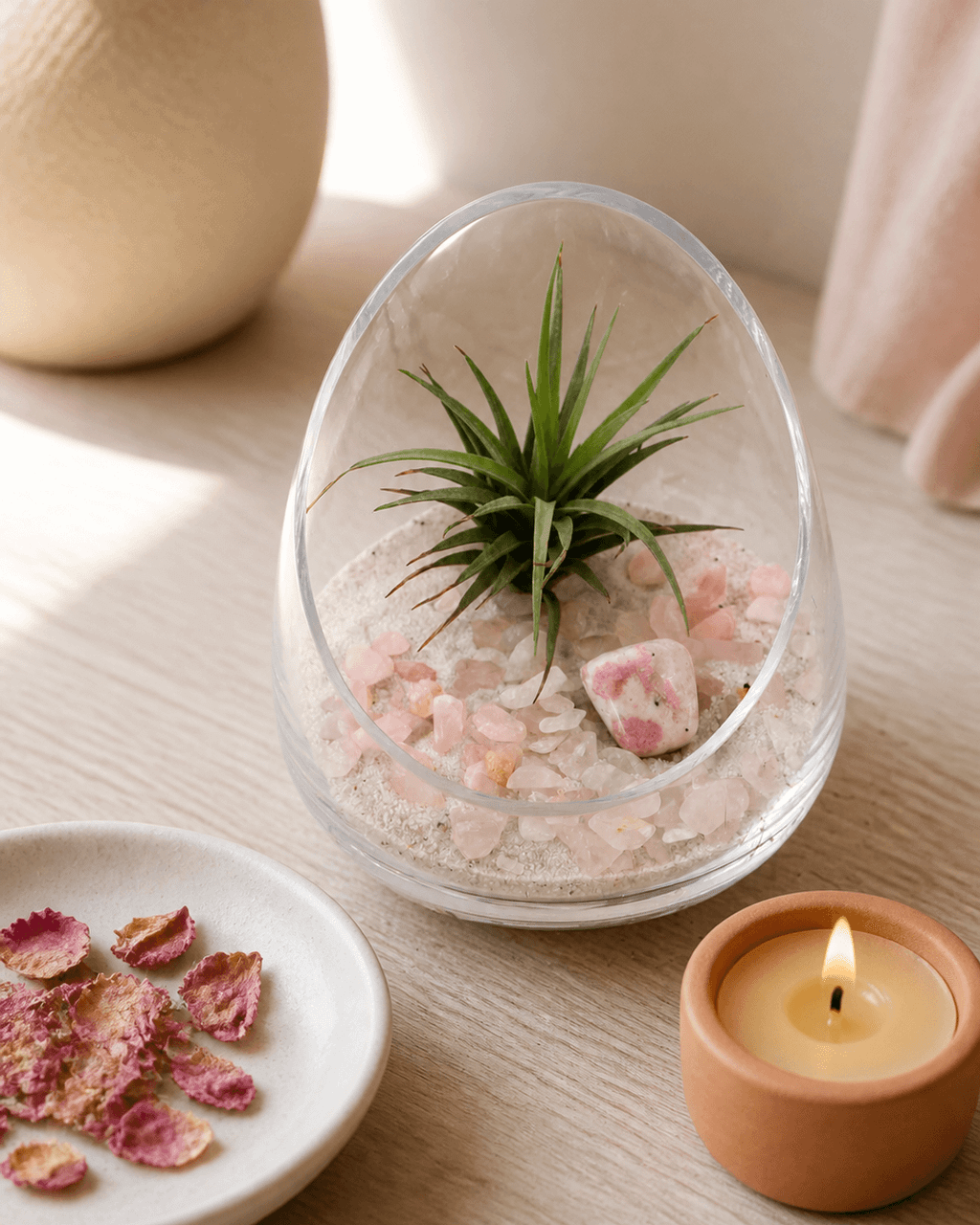 Rose Quartz and Rhodonite Gemstone Crystal Terrarium - Terrarium