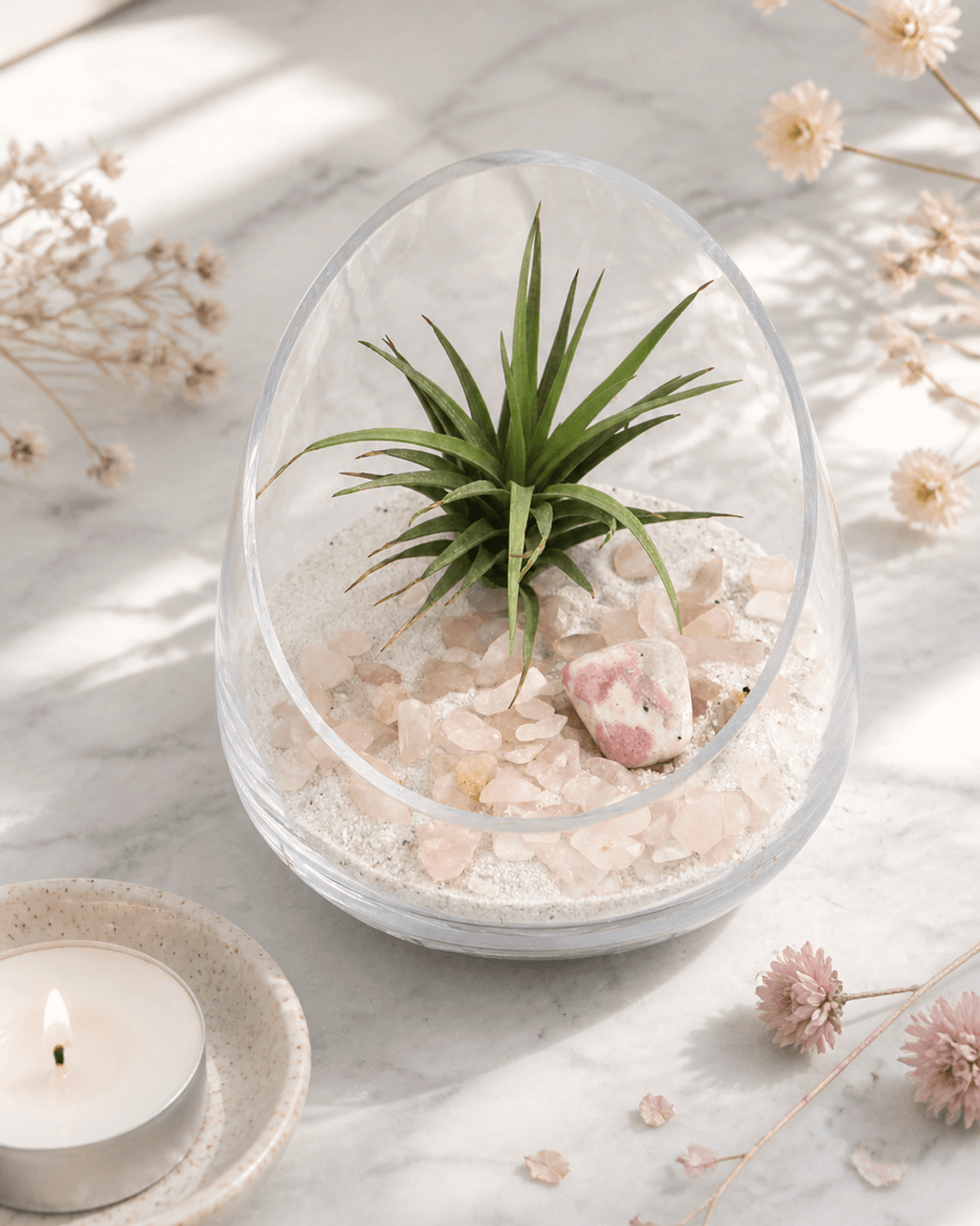 Rose Quartz and Rhodonite Gemstone Crystal Terrarium - Terrarium