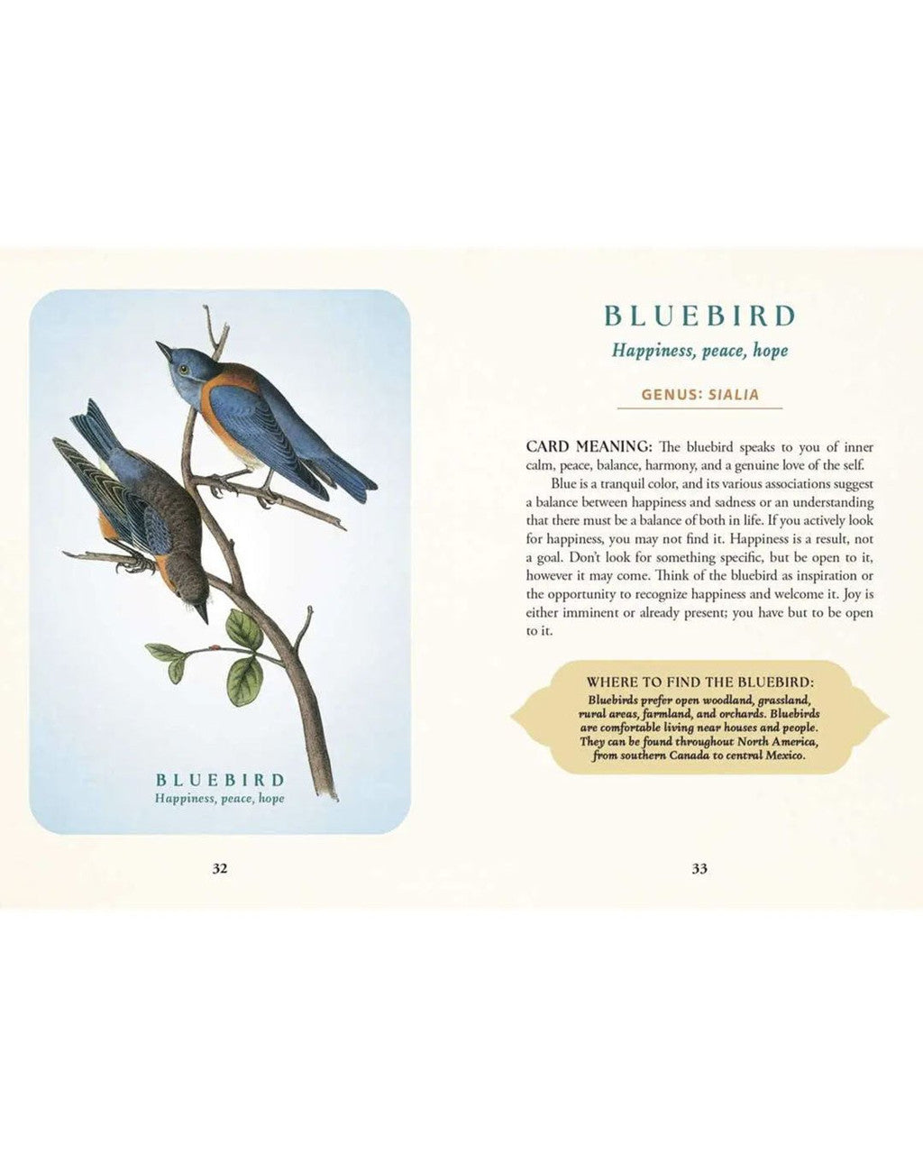 Spiritual Meaning of Birds Oracle - 50 - Card Nature Wisdom Deck by Arin Murphy - Hiscock - Books