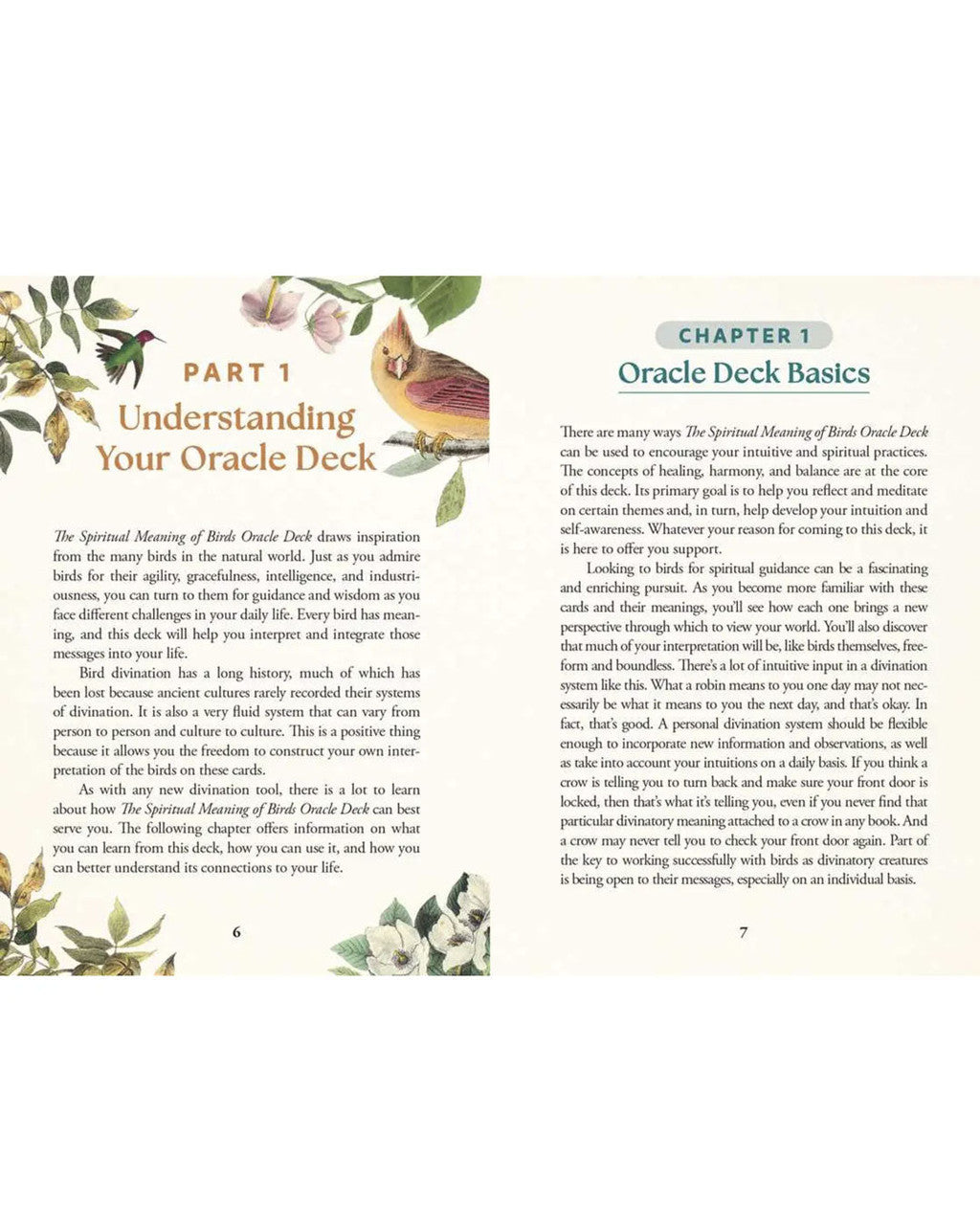 Spiritual Meaning of Birds Oracle - 50 - Card Nature Wisdom Deck by Arin Murphy - Hiscock - Books