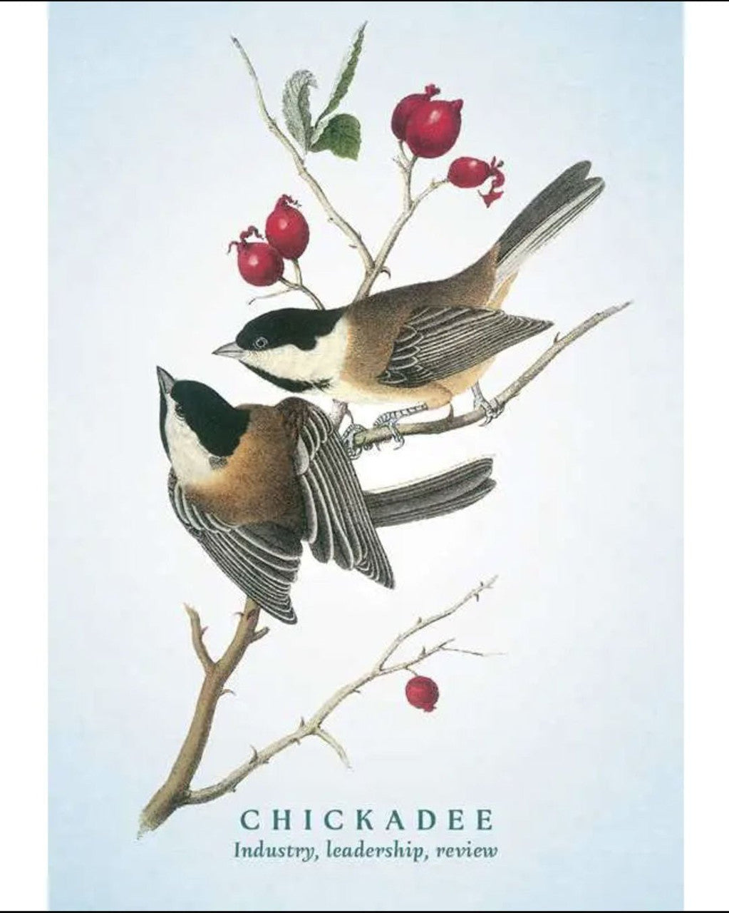 Spiritual Meaning of Birds Oracle - 50 - Card Nature Wisdom Deck by Arin Murphy - Hiscock - Books