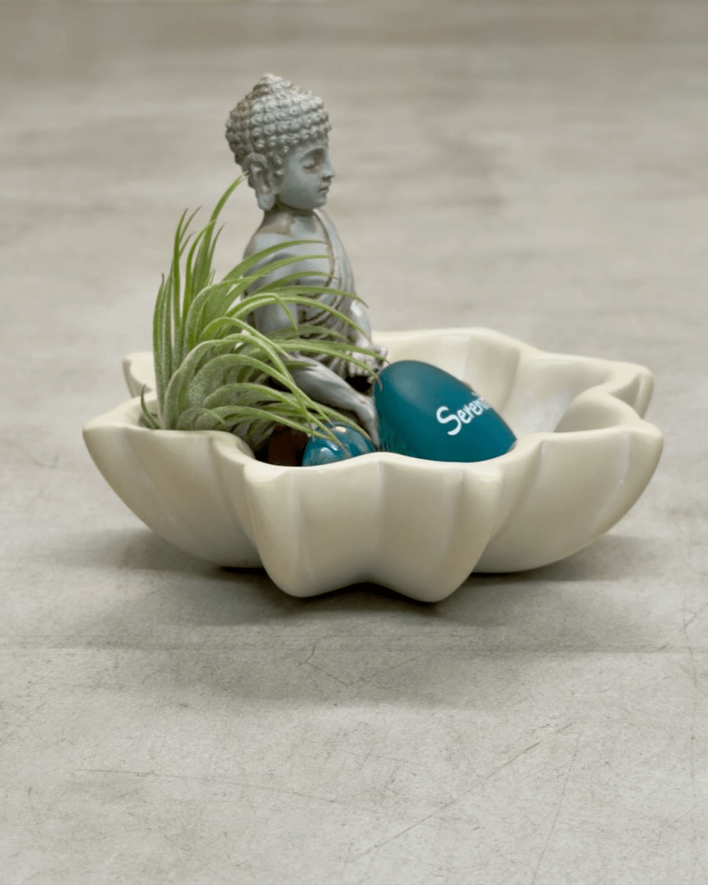 Zen Buddha Terrarium with Lotus Soapstone Bowl & Live Air Plant - Home Decor