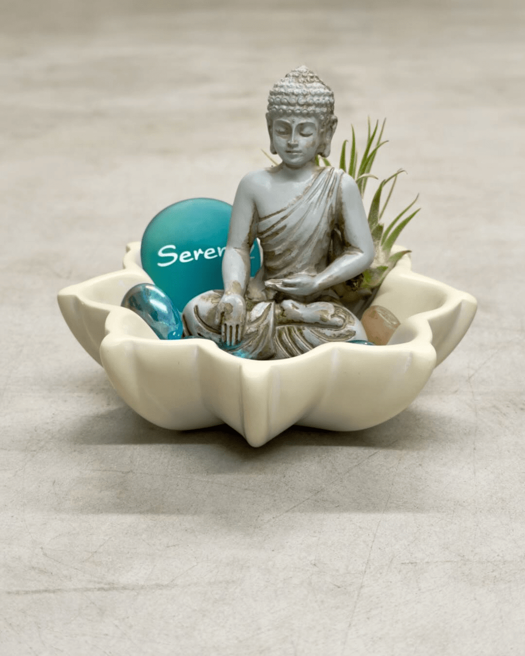 Zen Buddha Terrarium with Lotus Soapstone Bowl & Live Air Plant - Home Decor