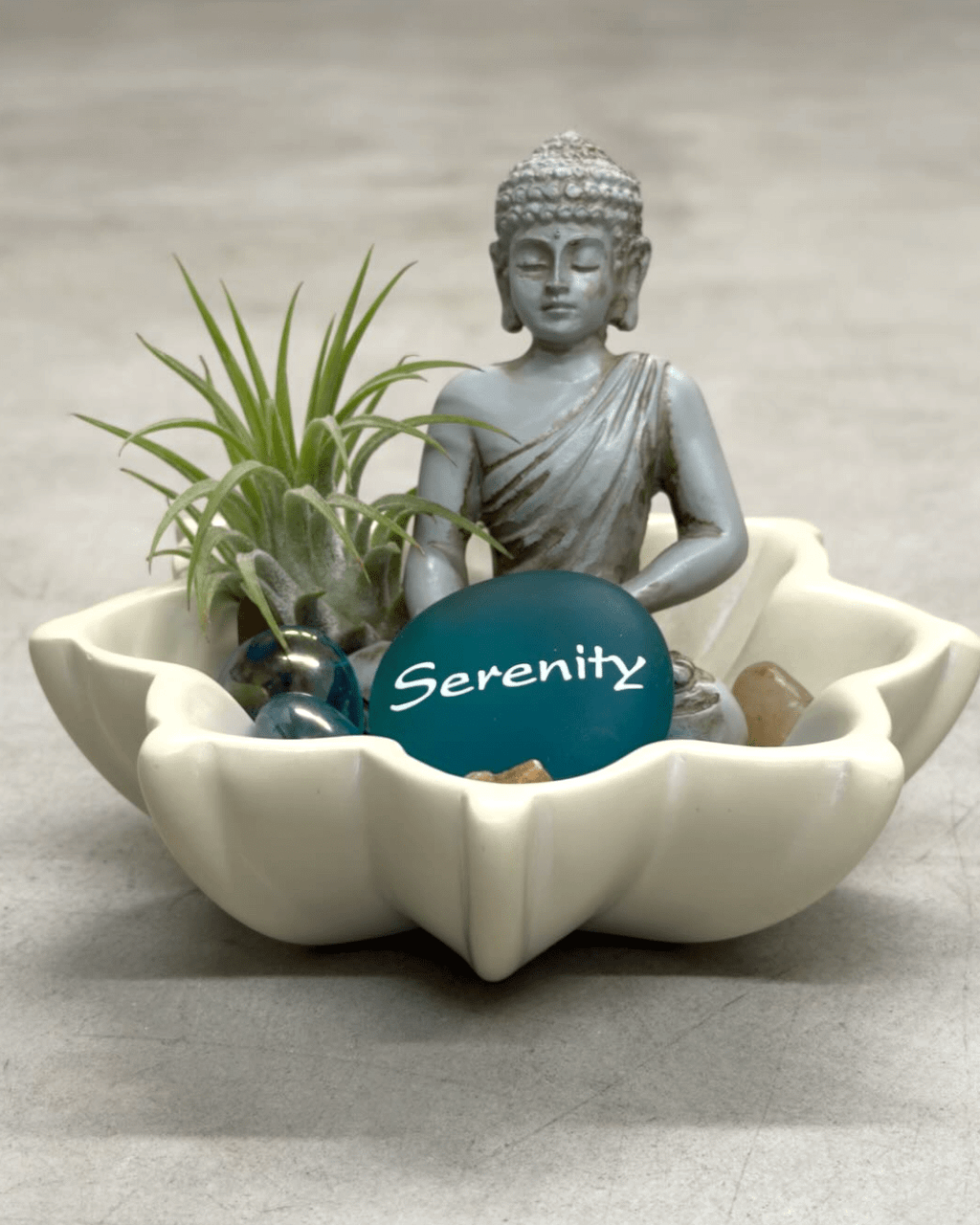 Zen Buddha Terrarium with Lotus Soapstone Bowl & Live Air Plant - Home Decor