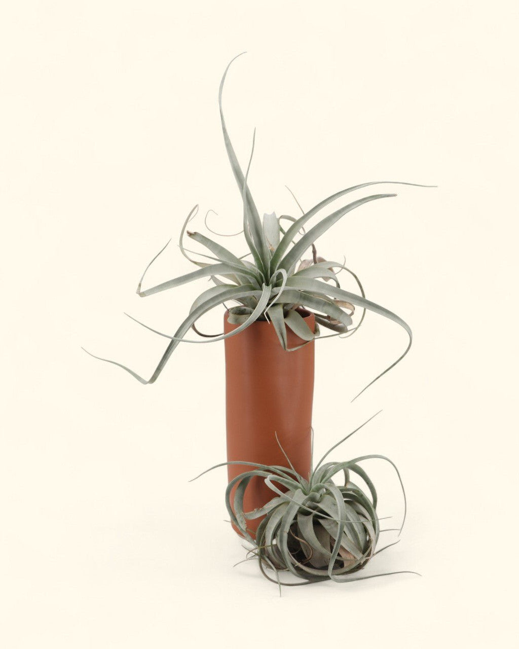 Zen - Inspired Terracotta Organic Tall Vase - Vases
